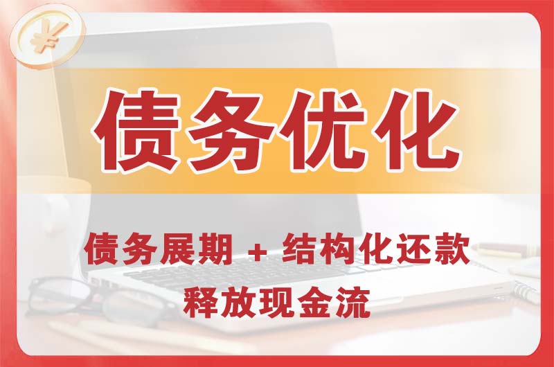 武隆债务优化