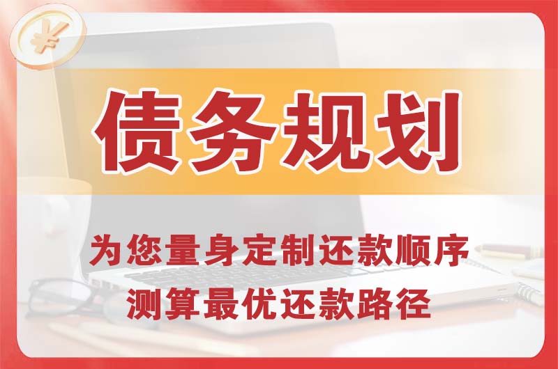 武隆债务规划